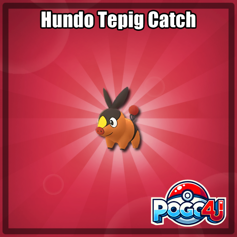 Hundo Tepig Catch