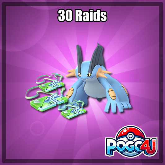 30 Raid Battles Bundle