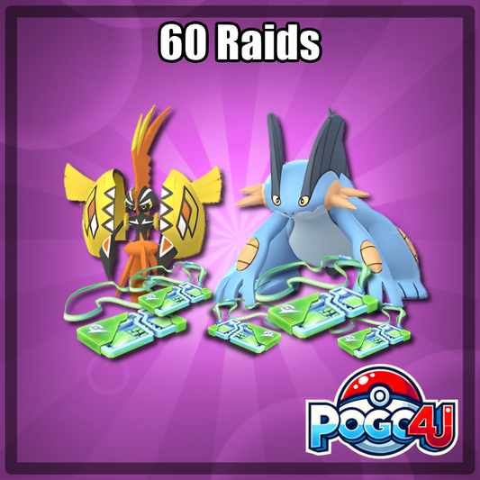 60 Raid Battles