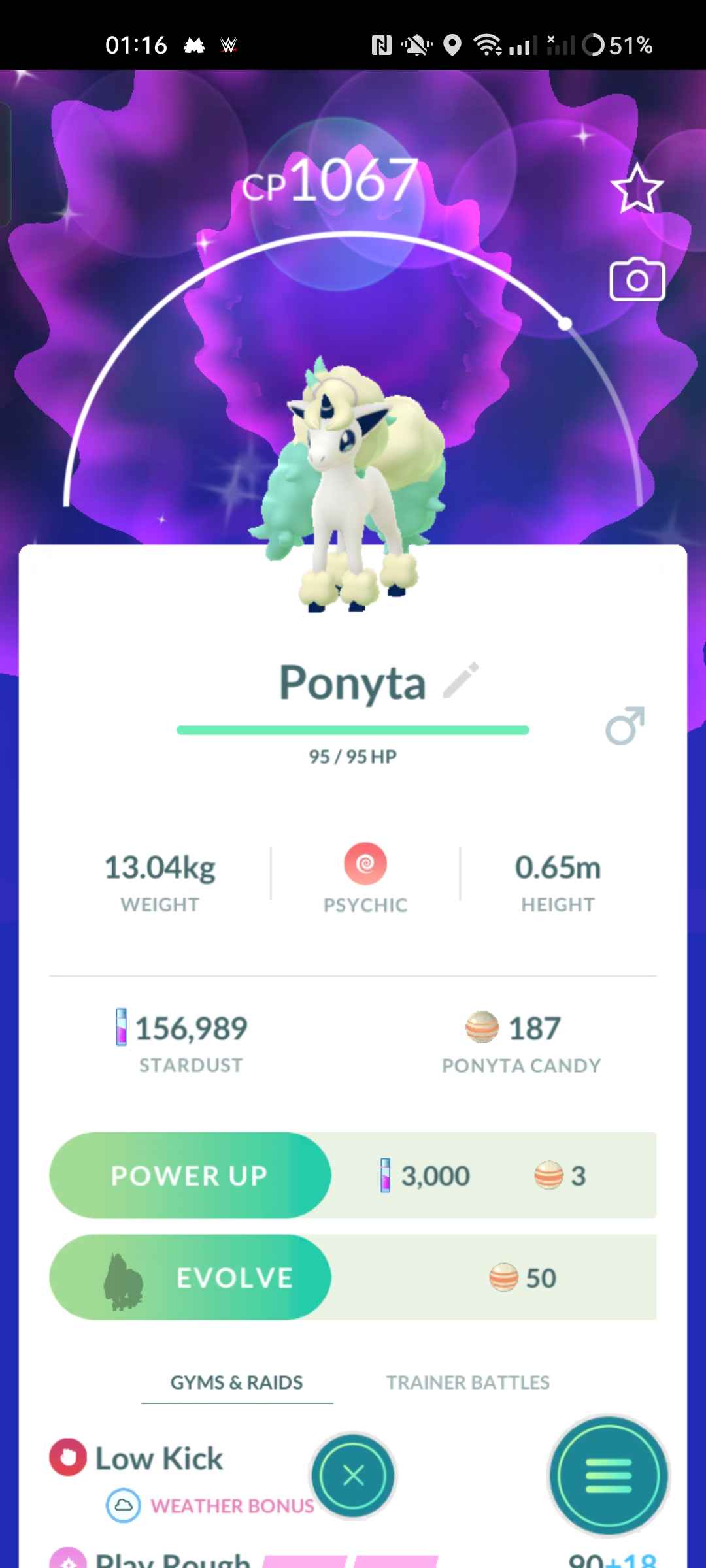 Level 31 Account - Shundo Galarian Ponyta & Hundo Eevee