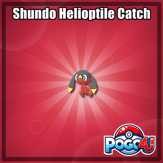 Shundo Helioptile Catch