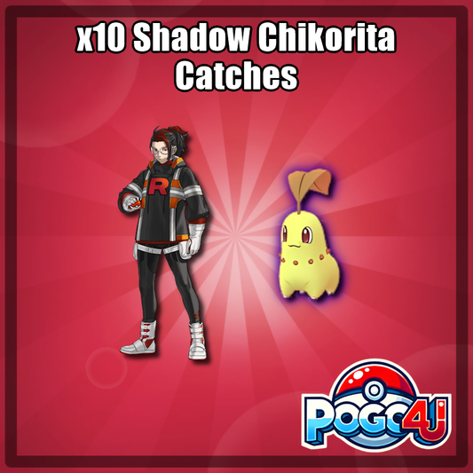 10 x Shadow Chikorita Catches