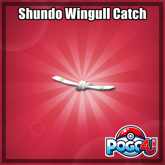 Shundo Wingull Catch